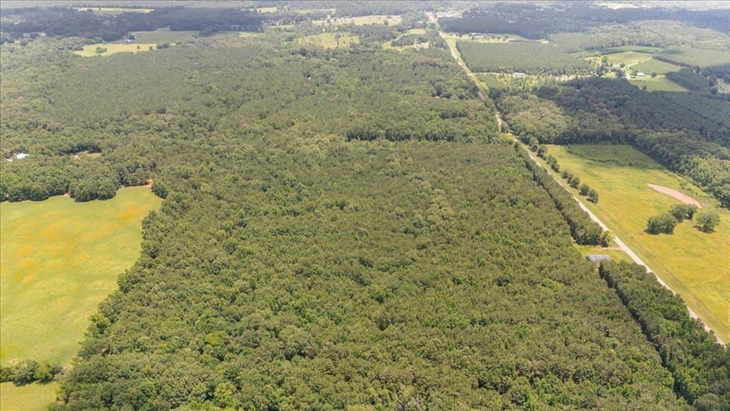 50.8 acres in Texas County - photo 7