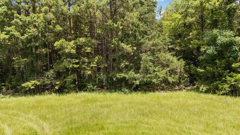 50.8 acres in Texas County - photo 8