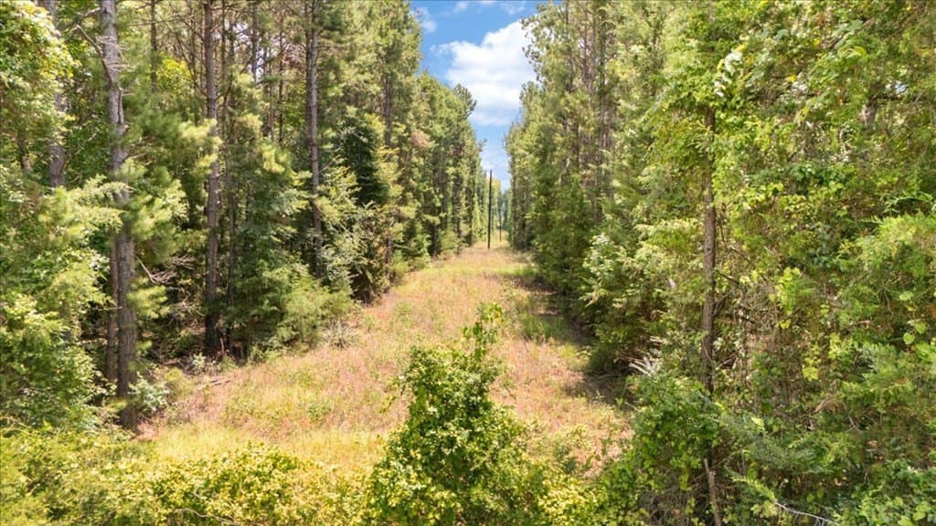 50.8 acres in Texas County - photo 9