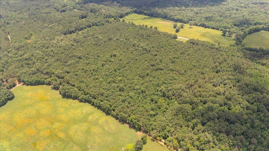 50.8 acres in Texas County - photo 6