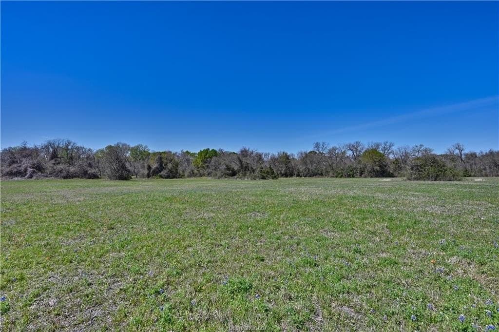 28.76 acres in Grimes County gallery image 3