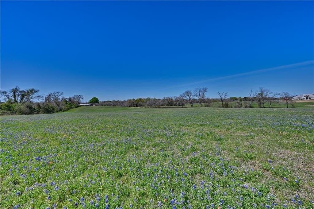 28.76 acres in Grimes County - photo 7