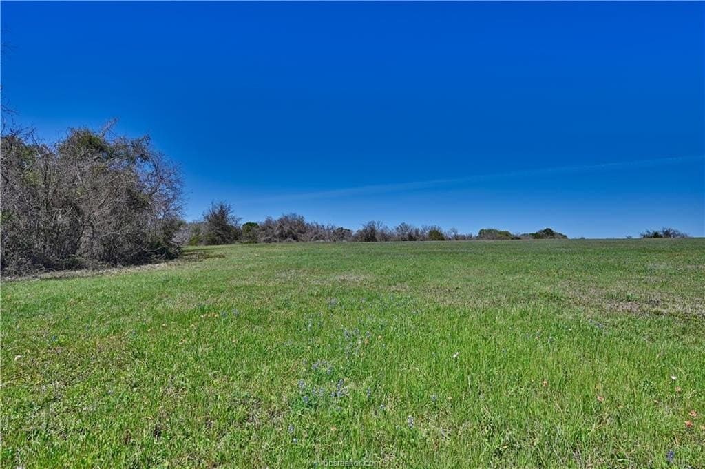 28.76 acres in Grimes County gallery image 4
