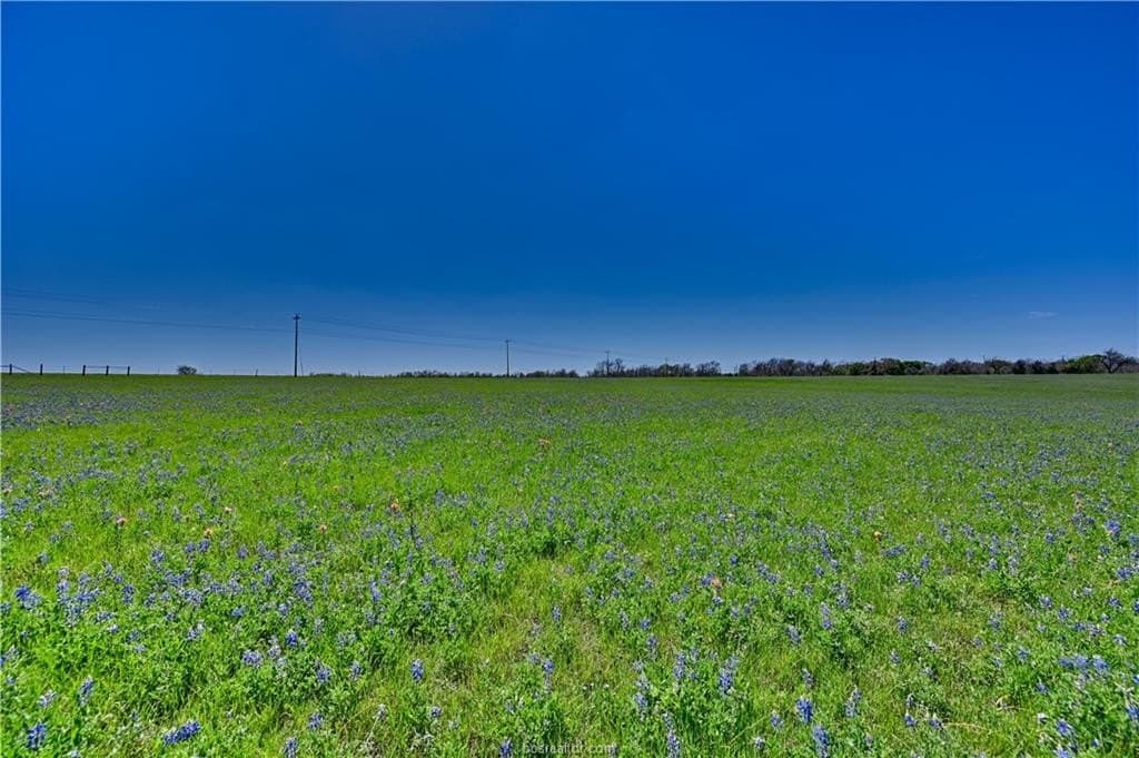 28.76 acres in Grimes County - photo 6