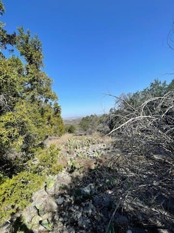 0.3 acres in Burnet County gallery image 4