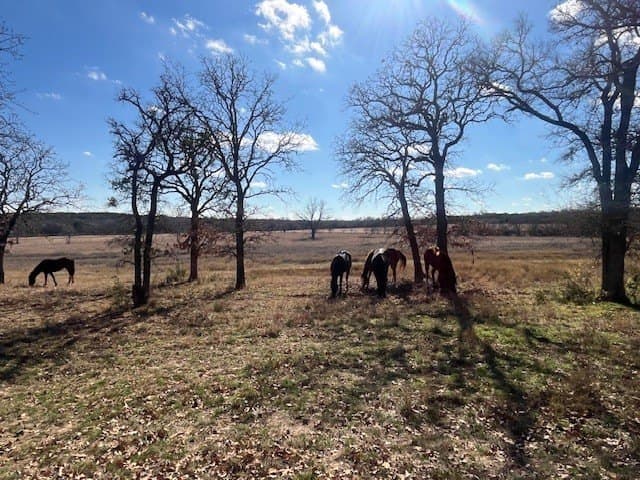 50 acres in Hamilton County - photo 21