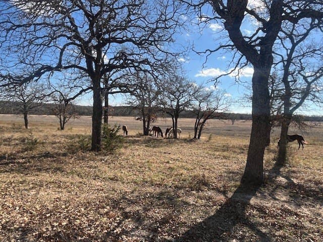 50 acres in Hamilton County - photo 20