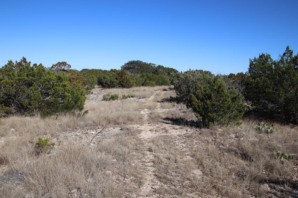365.8 acres in Edwards County - photo 6