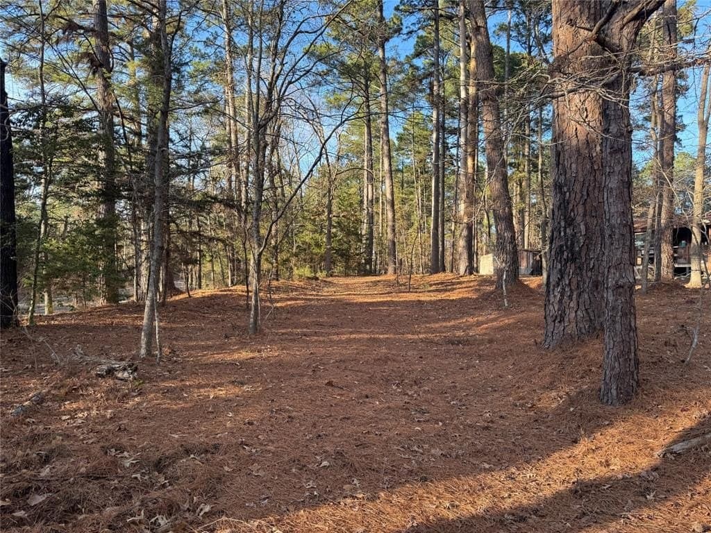 3.75 acres in Wood County gallery image 4