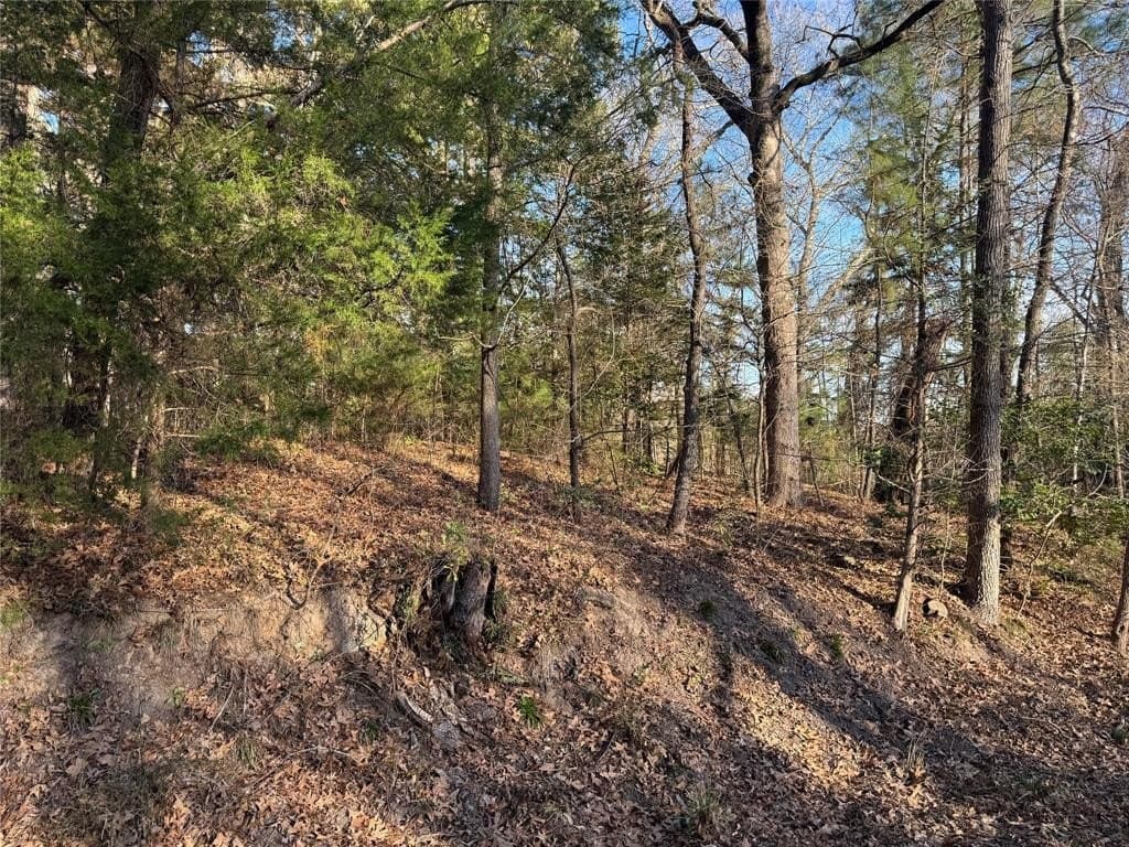 3.75 acres in Wood County gallery image 2