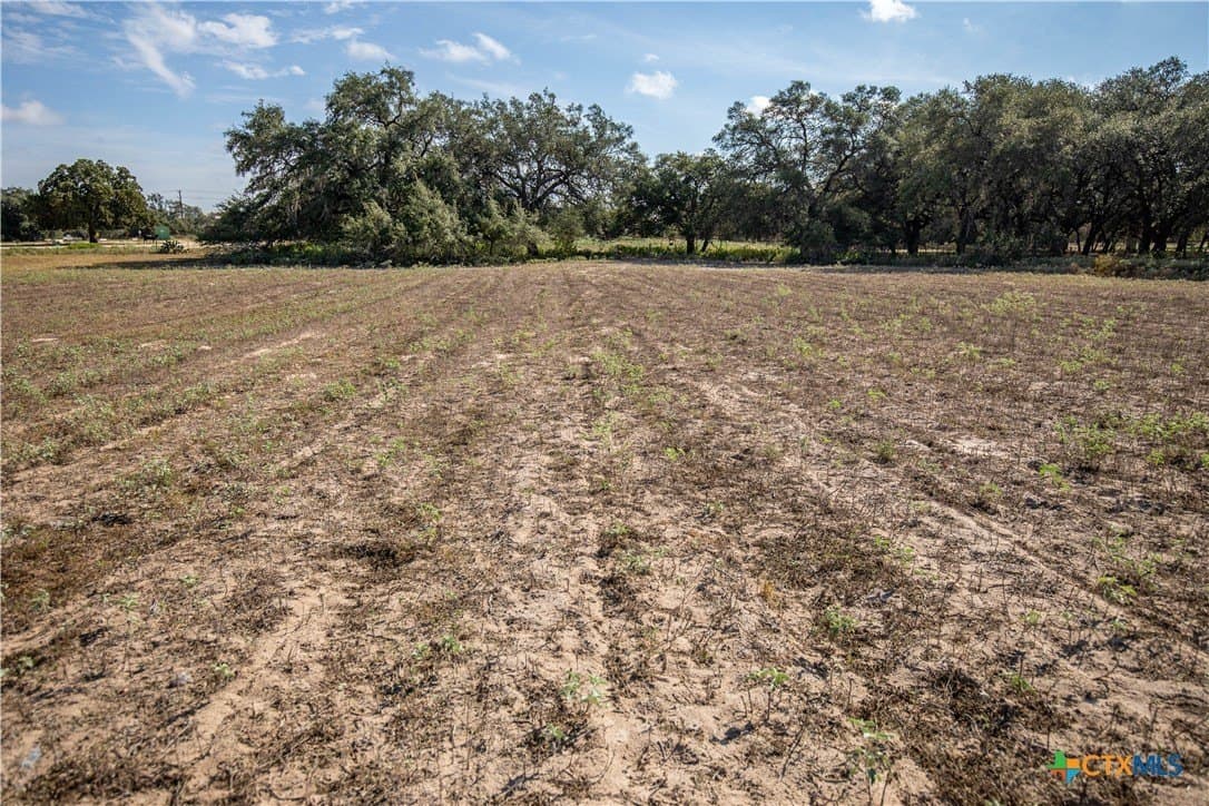 15 acres in Bexar County - photo 44