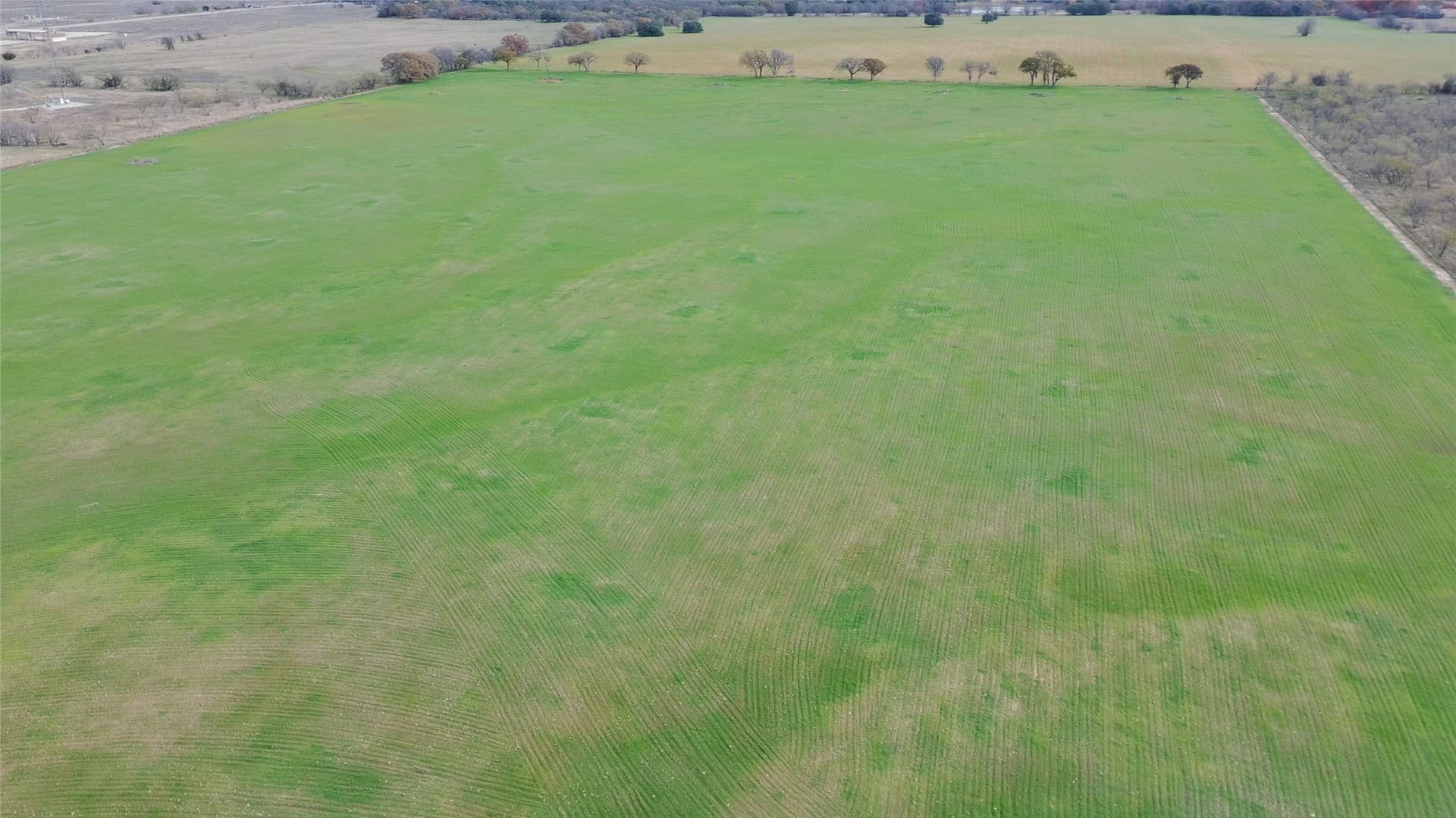 56.81 acres in Palo Pinto County gallery image 4