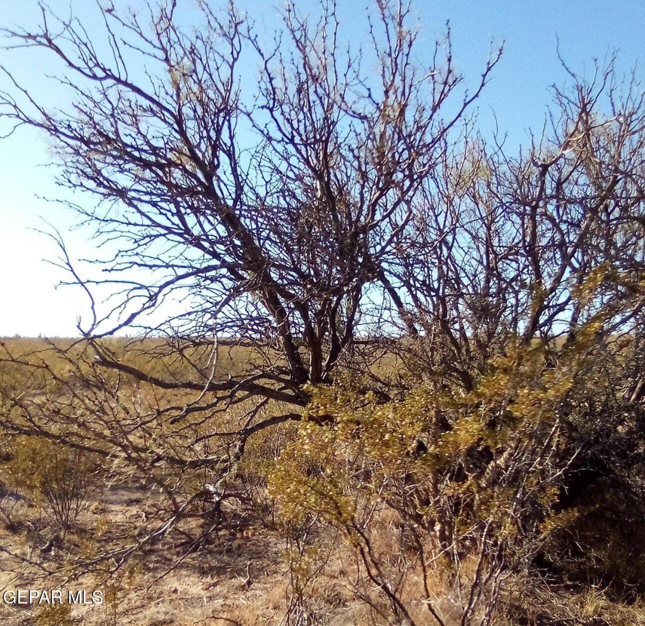 20 acres in Hudspeth County