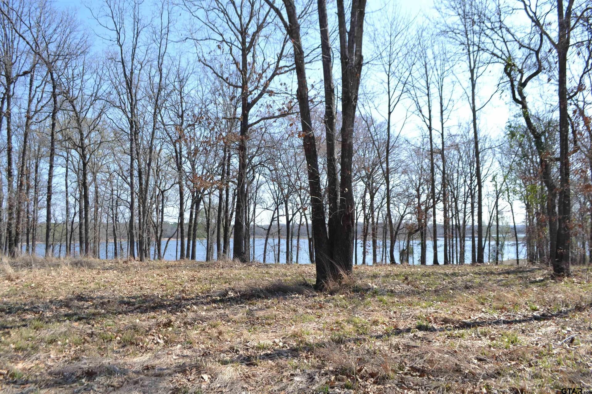 1.01 acres in Wood County gallery image 3