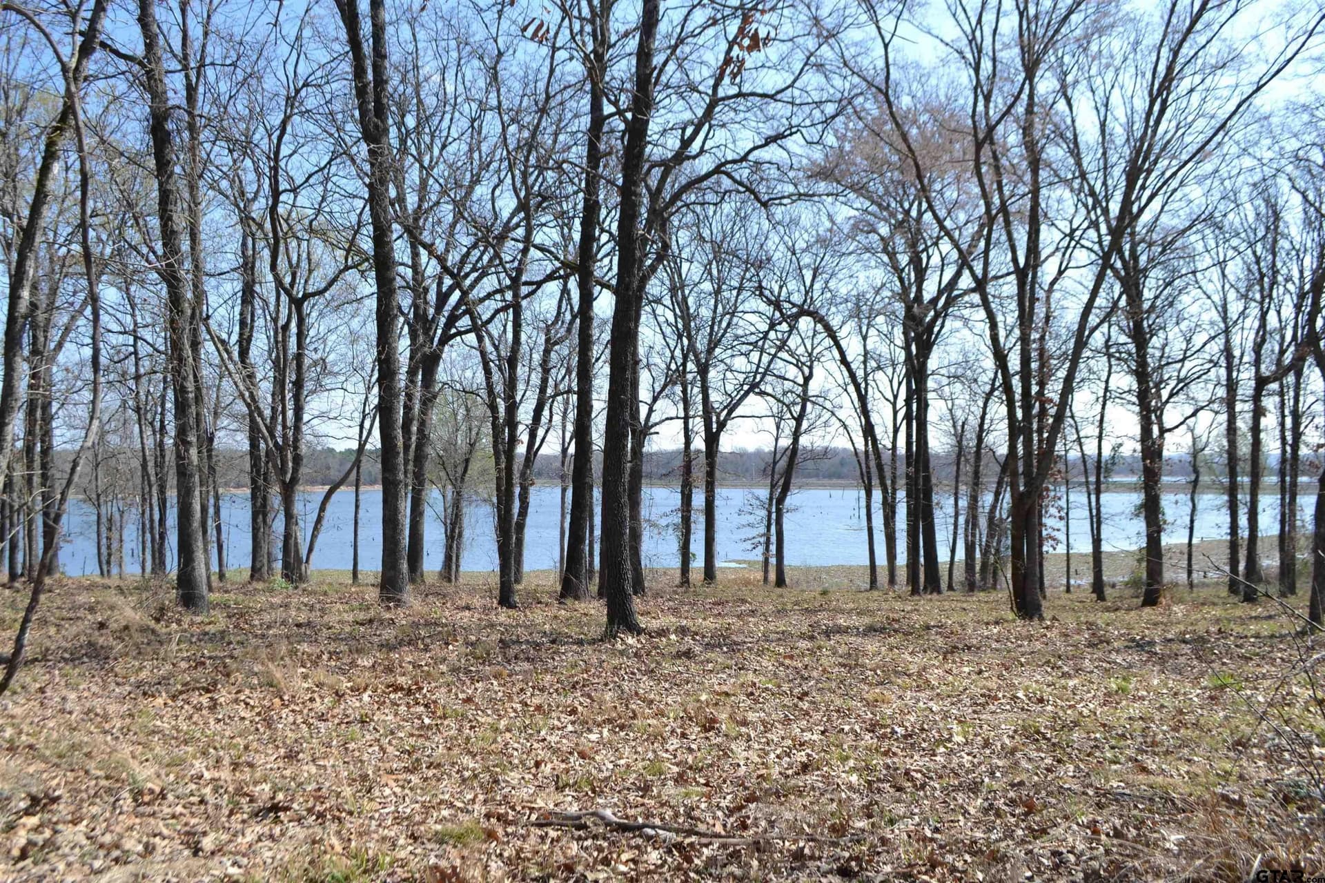 1.01 acres in Wood County gallery image 4