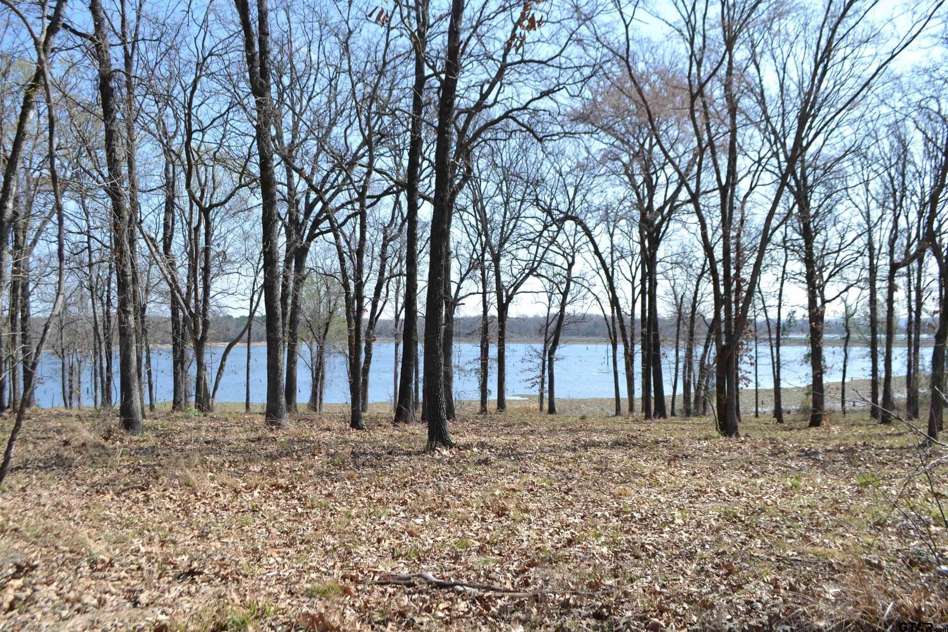 1.01 acres in Wood County featured view