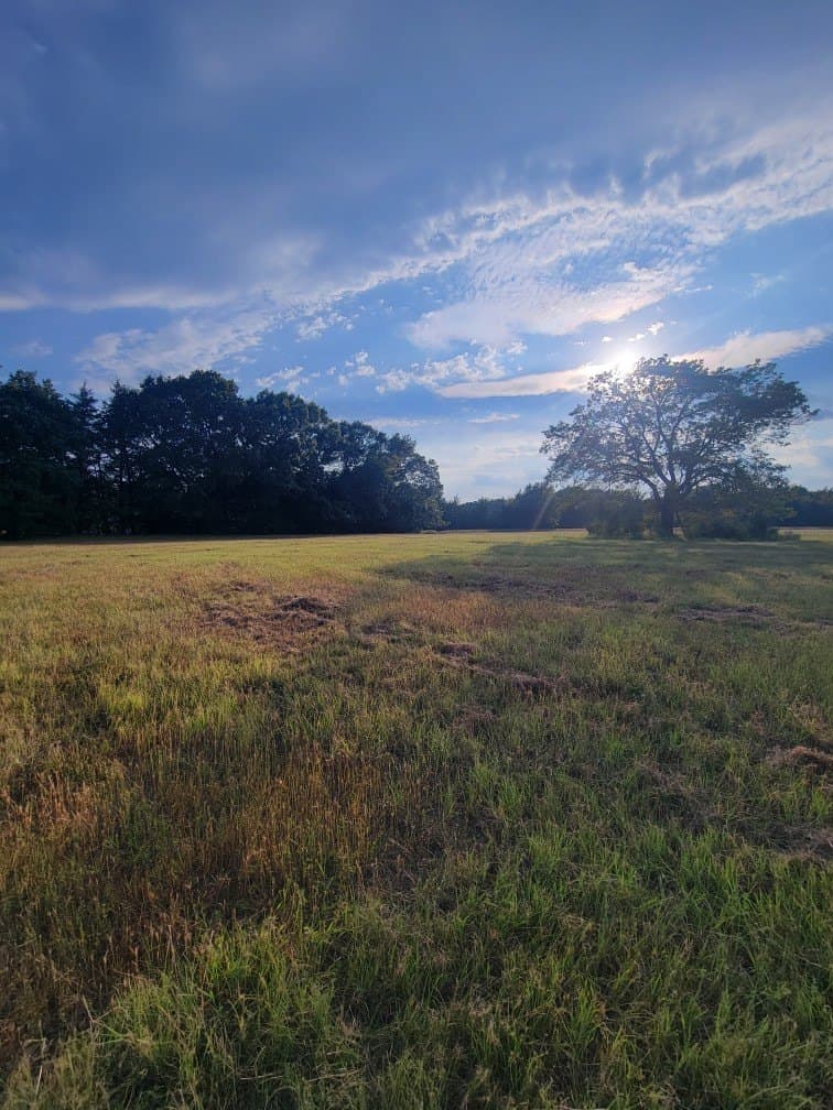 5 acres in Fannin County - photo 2
