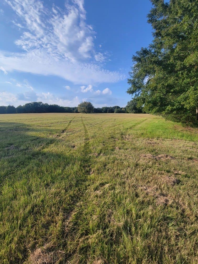 5 acres in Fannin County - photo 4