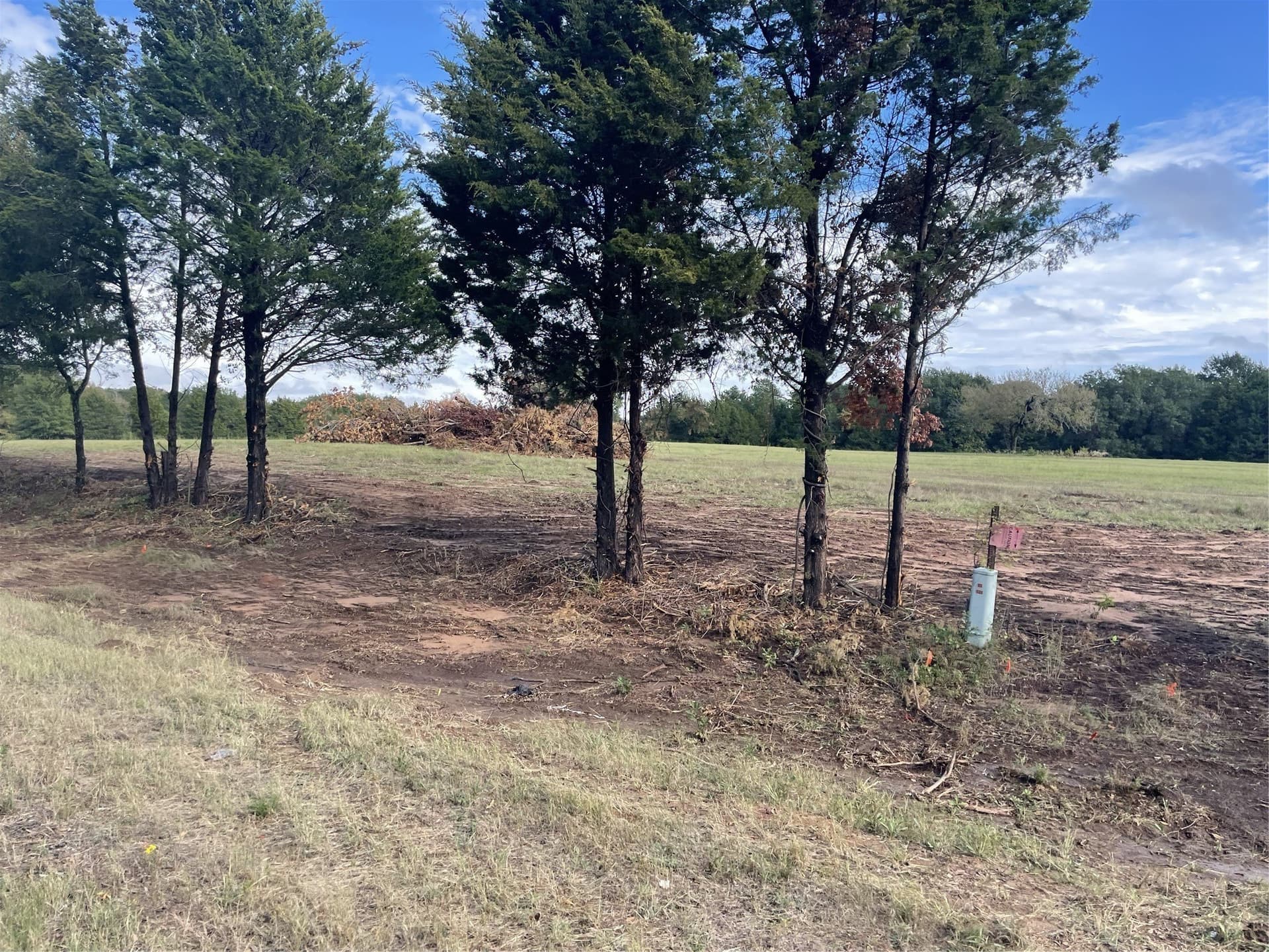 5 acres in Fannin County - photo 3