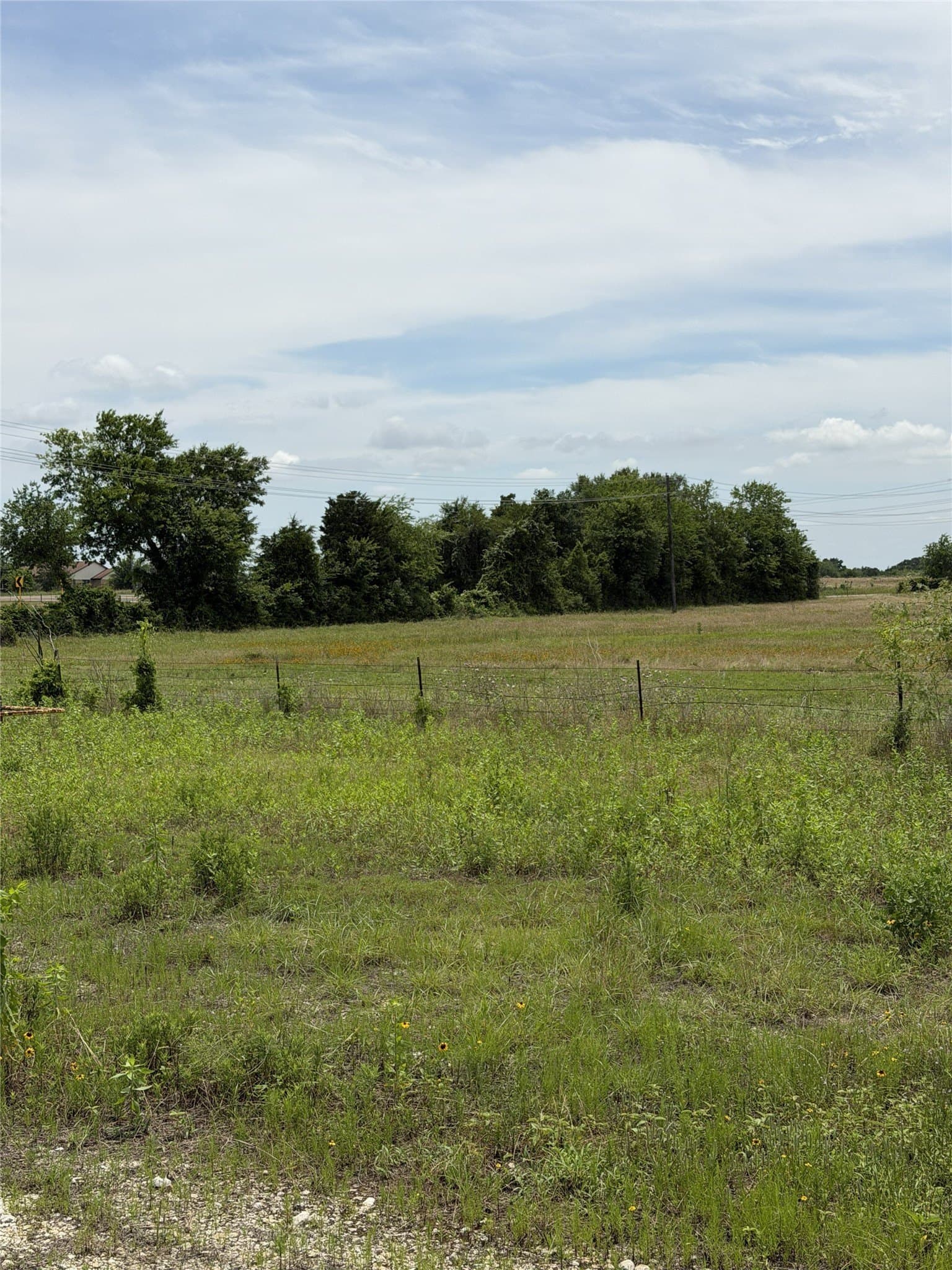 35 acres in Limestone County - photo 18