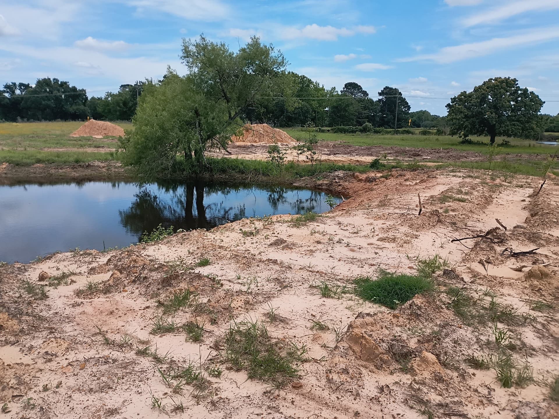 35 acres in Limestone County - photo 14