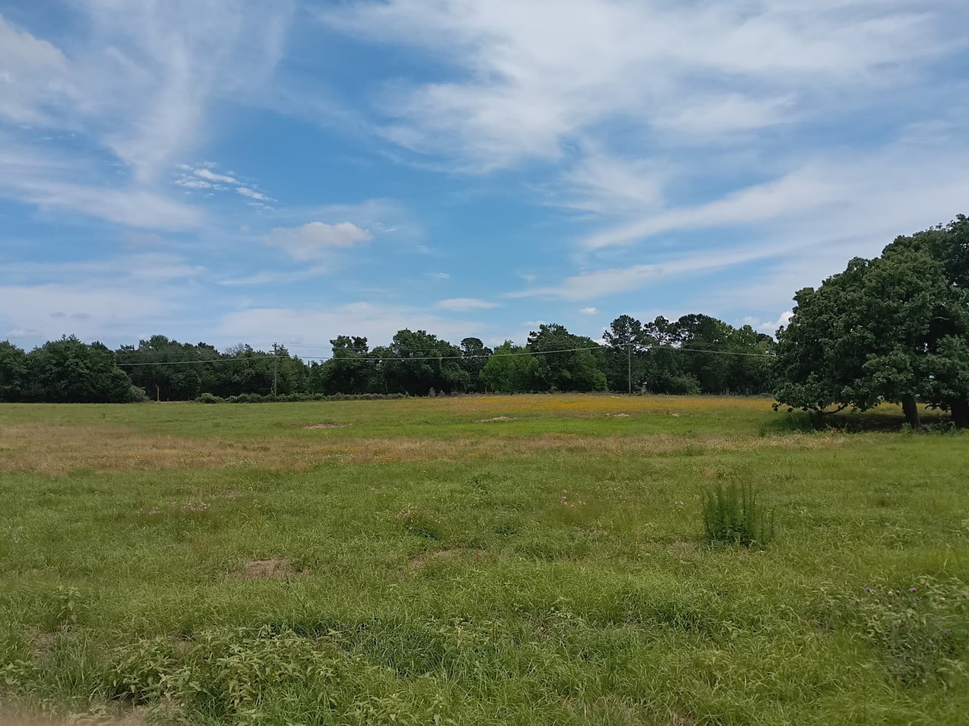35 acres in Limestone County