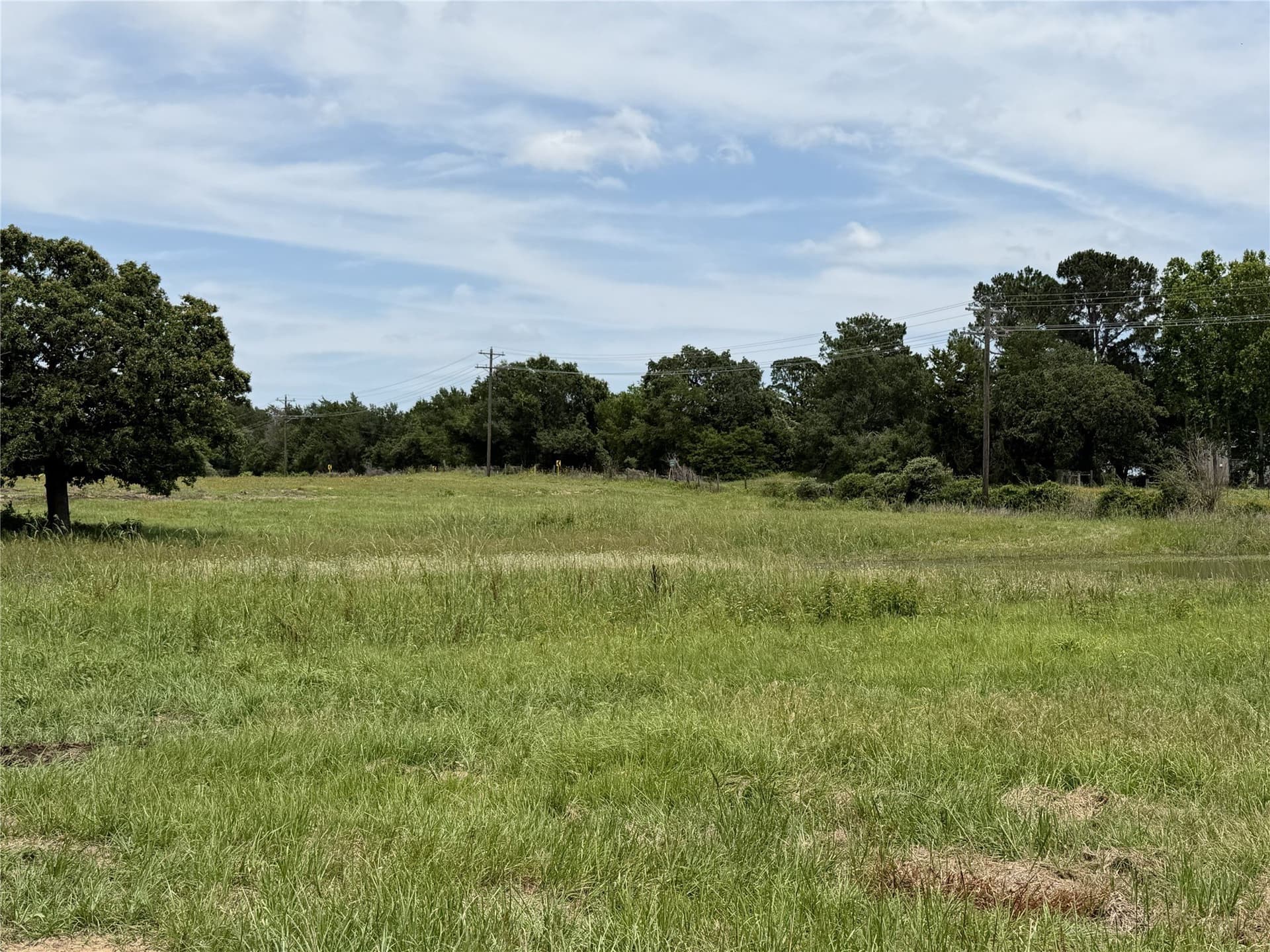 35 acres in Limestone County - photo 16