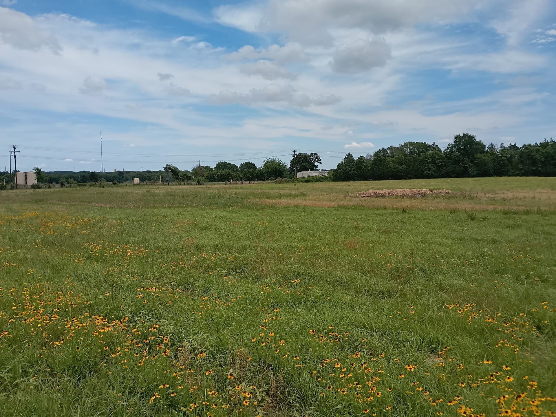 35 acres in Limestone County - photo 8