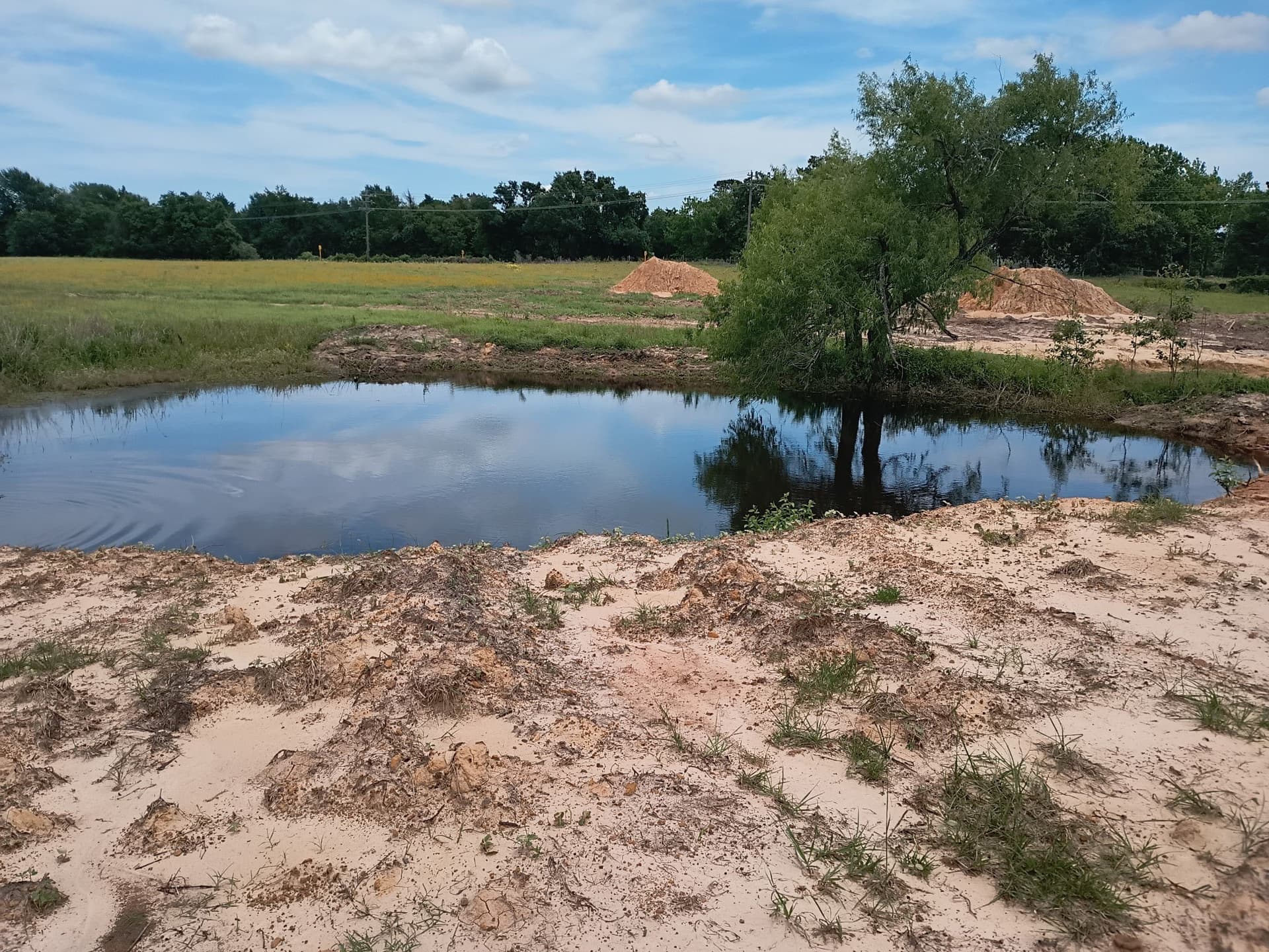35 acres in Limestone County - photo 12