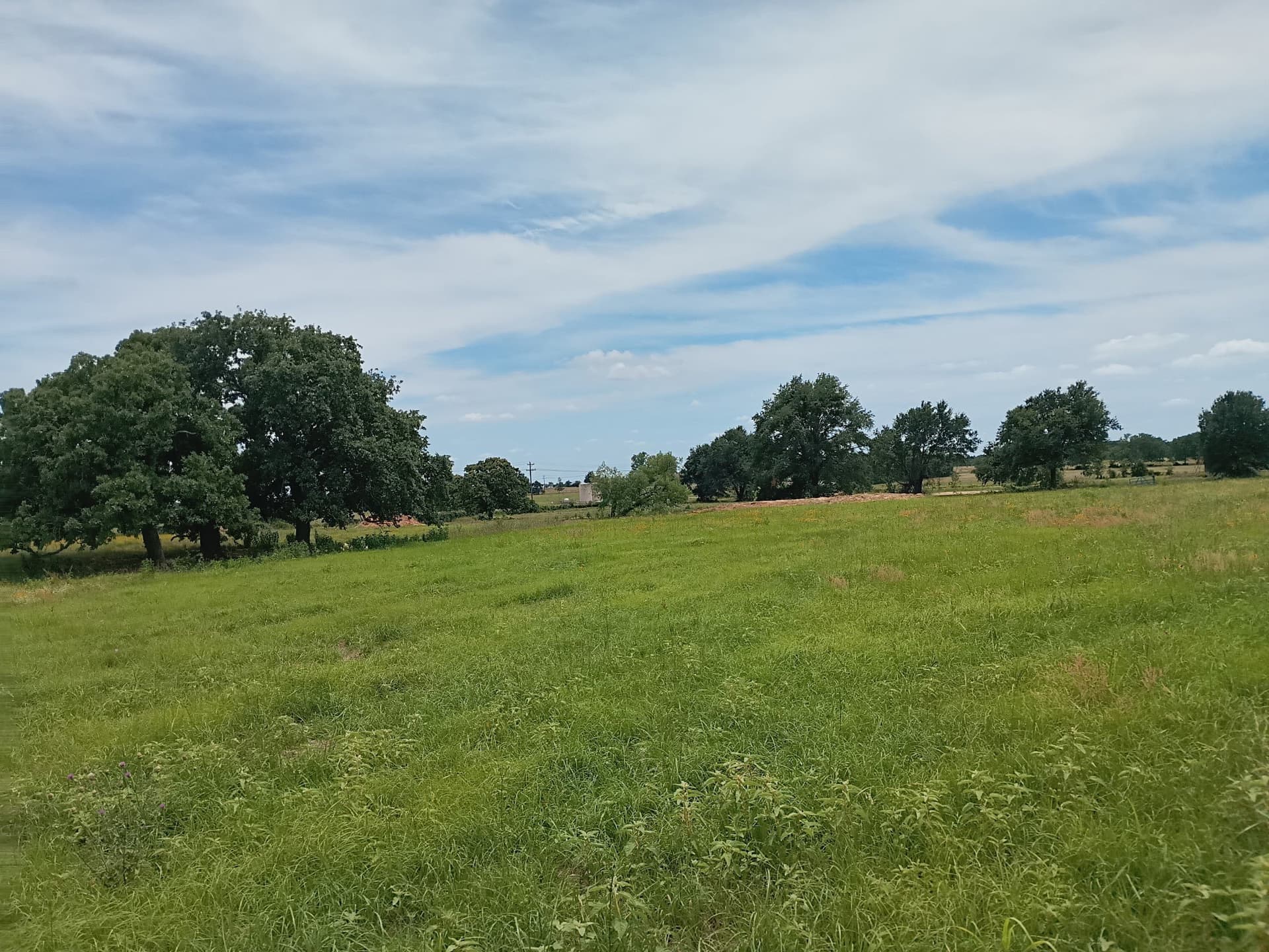 35 acres in Limestone County gallery image 2