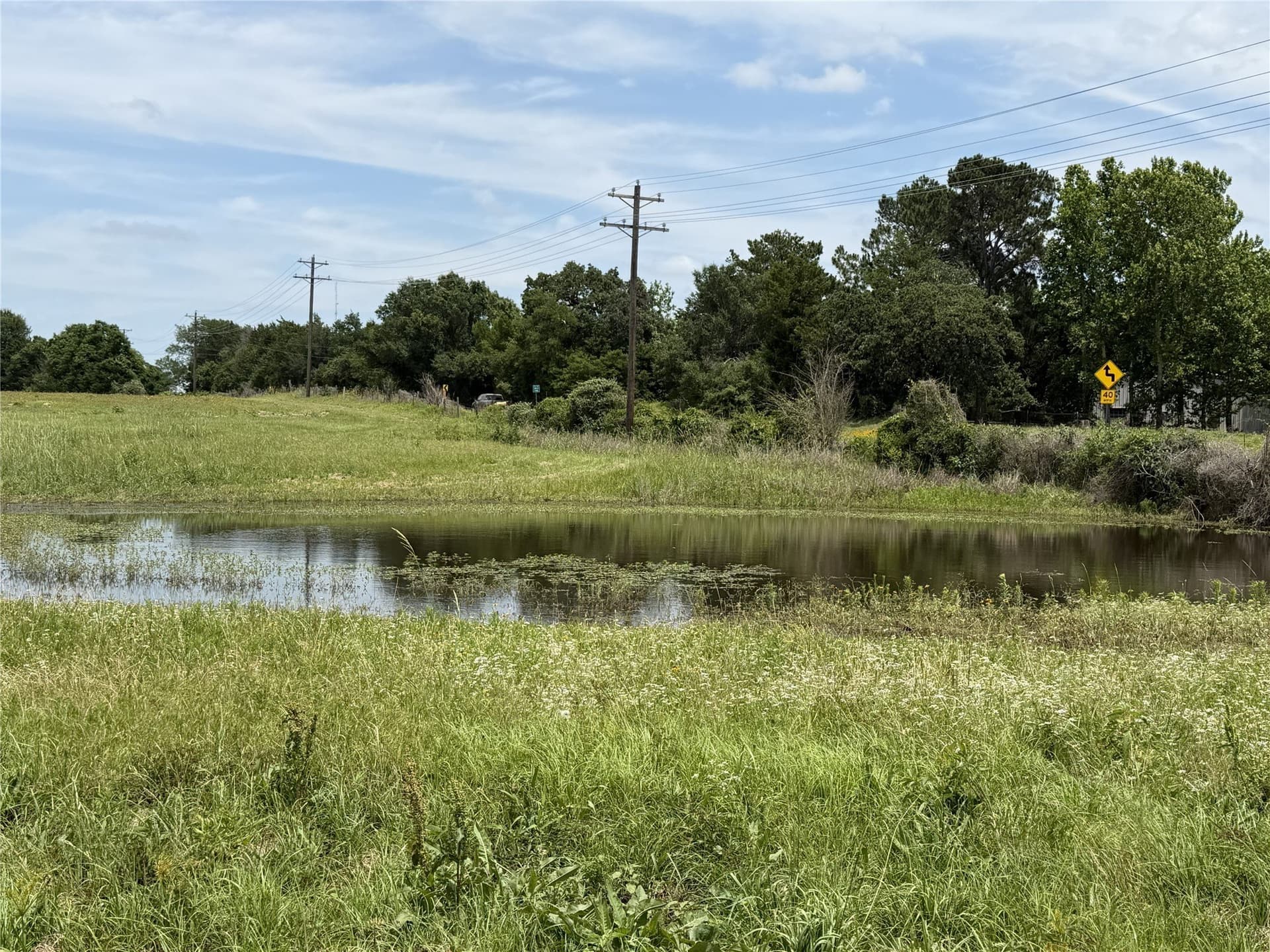 35 acres in Limestone County gallery image 4