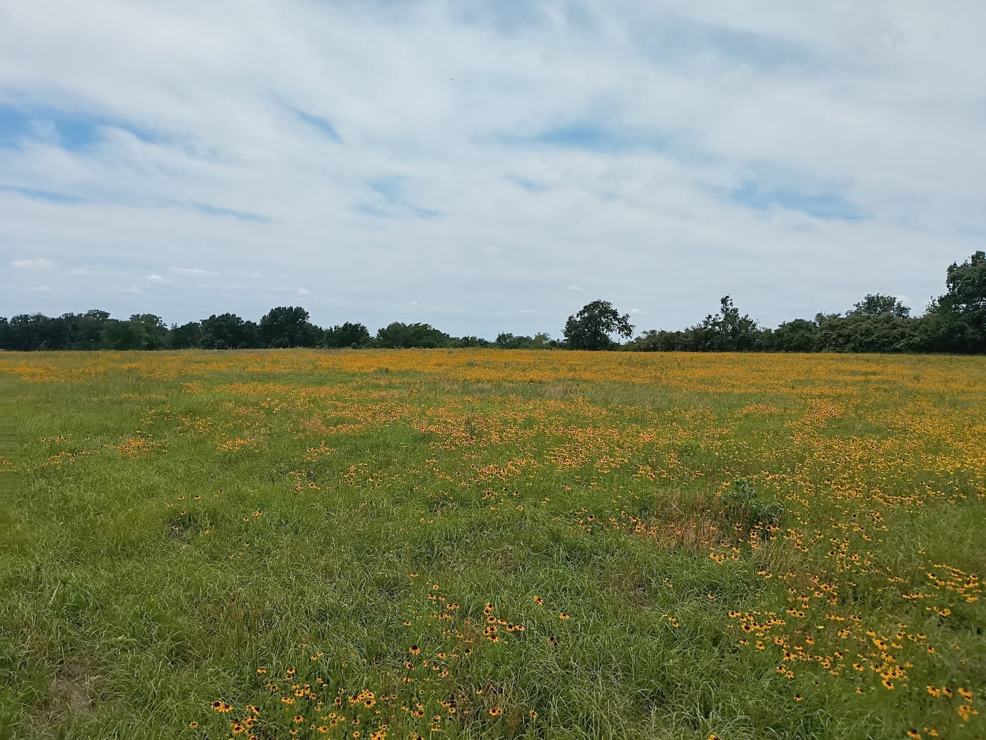 35 acres in Limestone County - photo 6