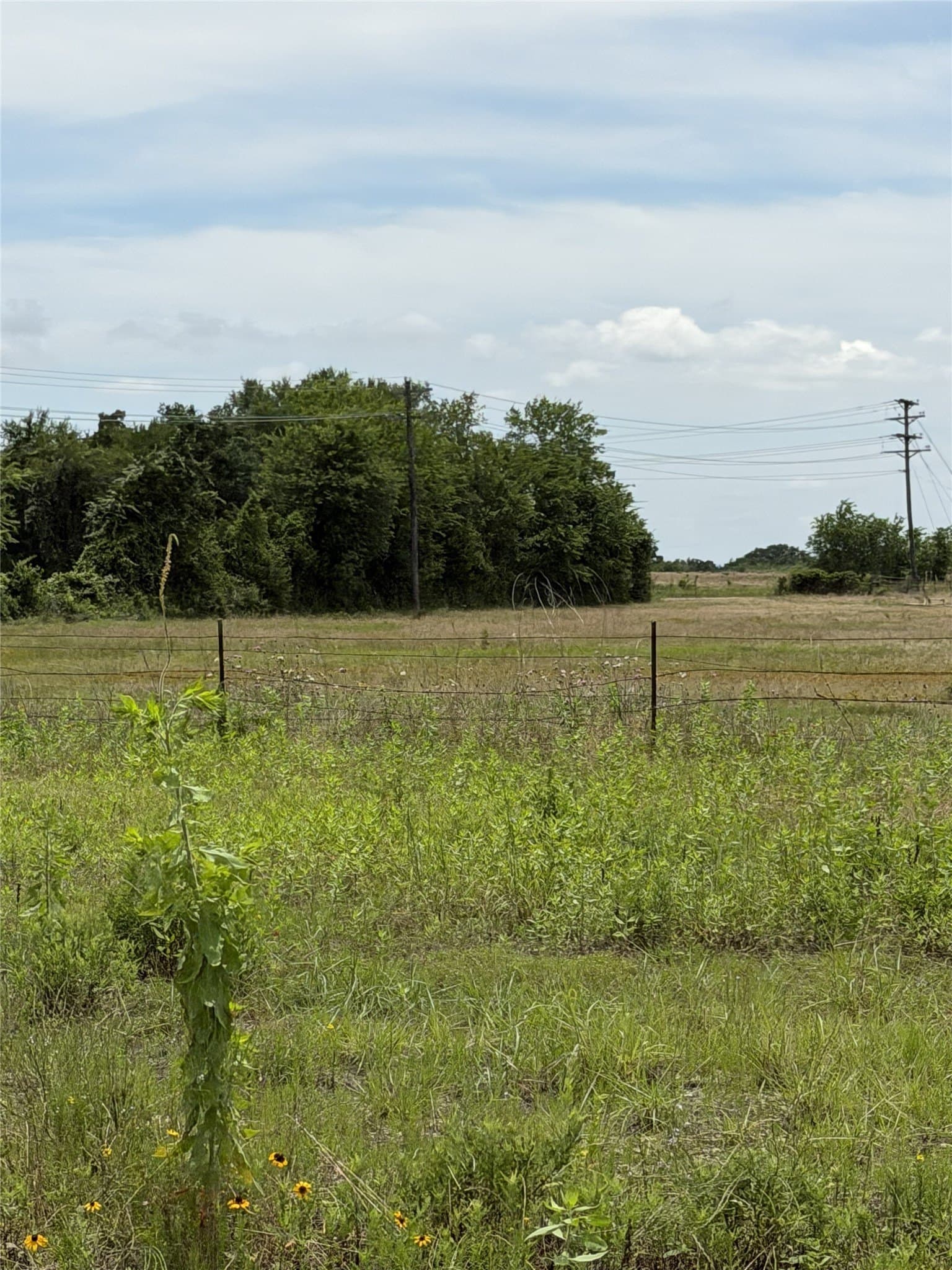 35 acres in Limestone County - photo 19