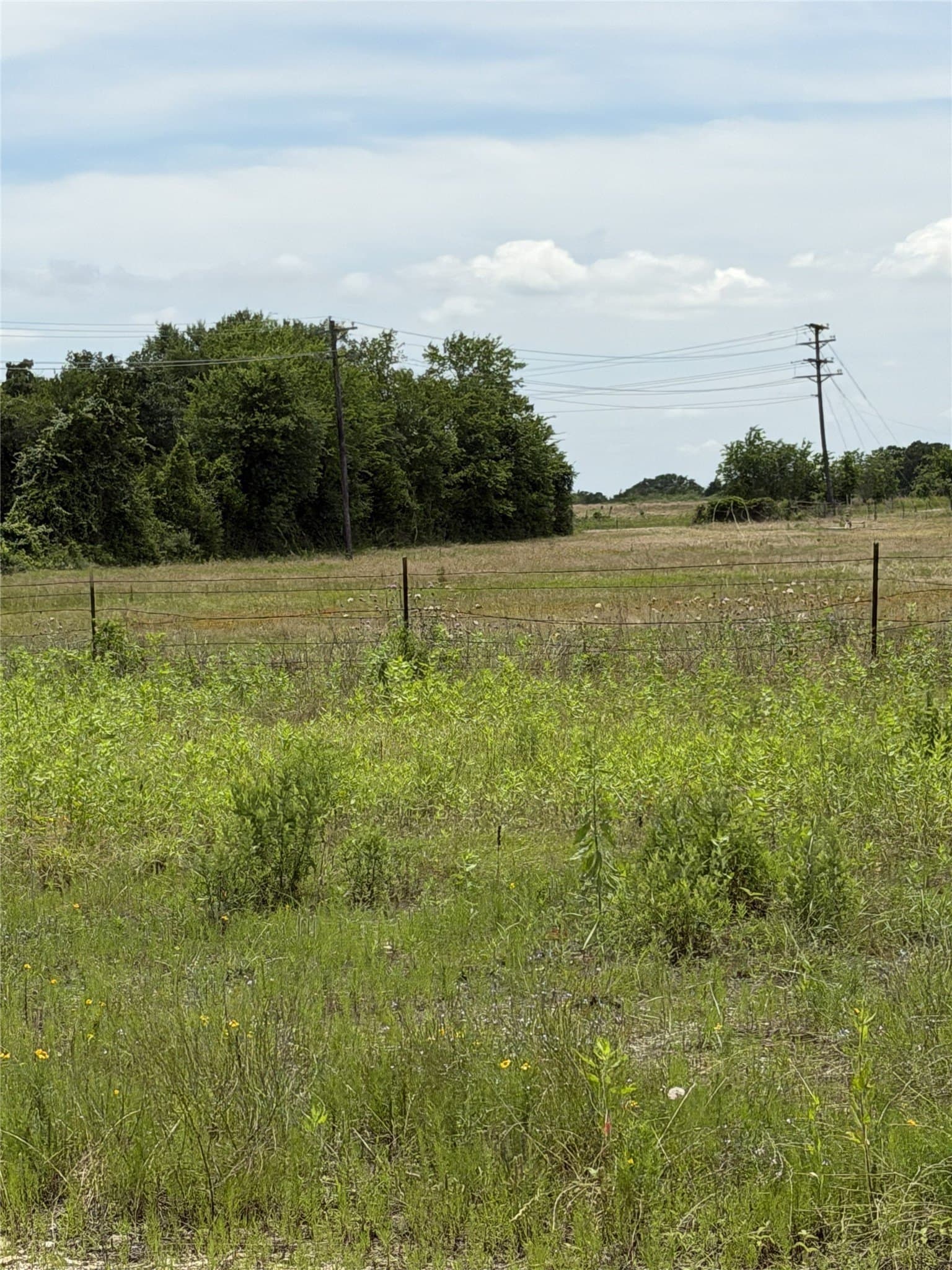 35 acres in Limestone County - photo 20