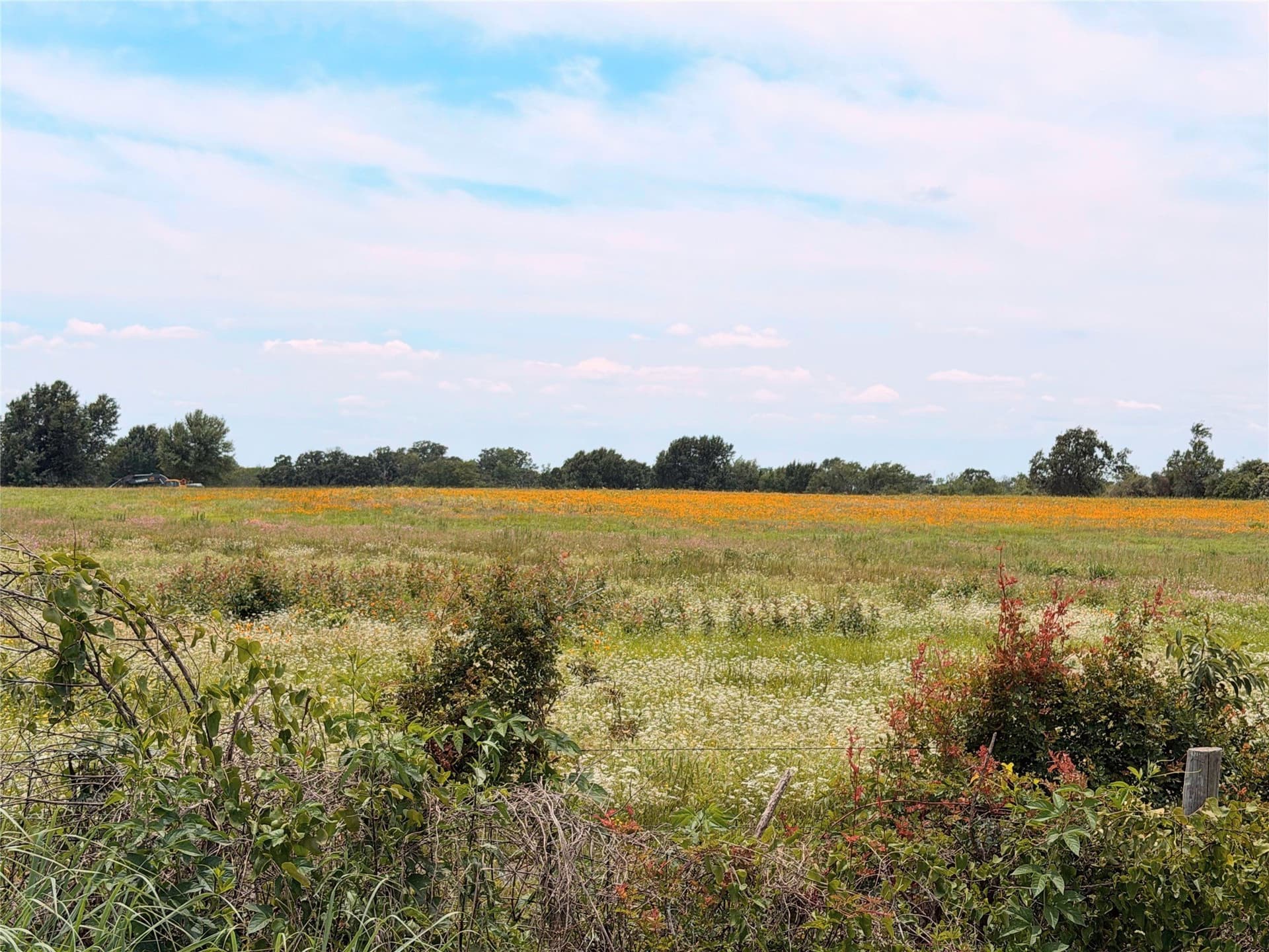 35 acres in Limestone County featured view