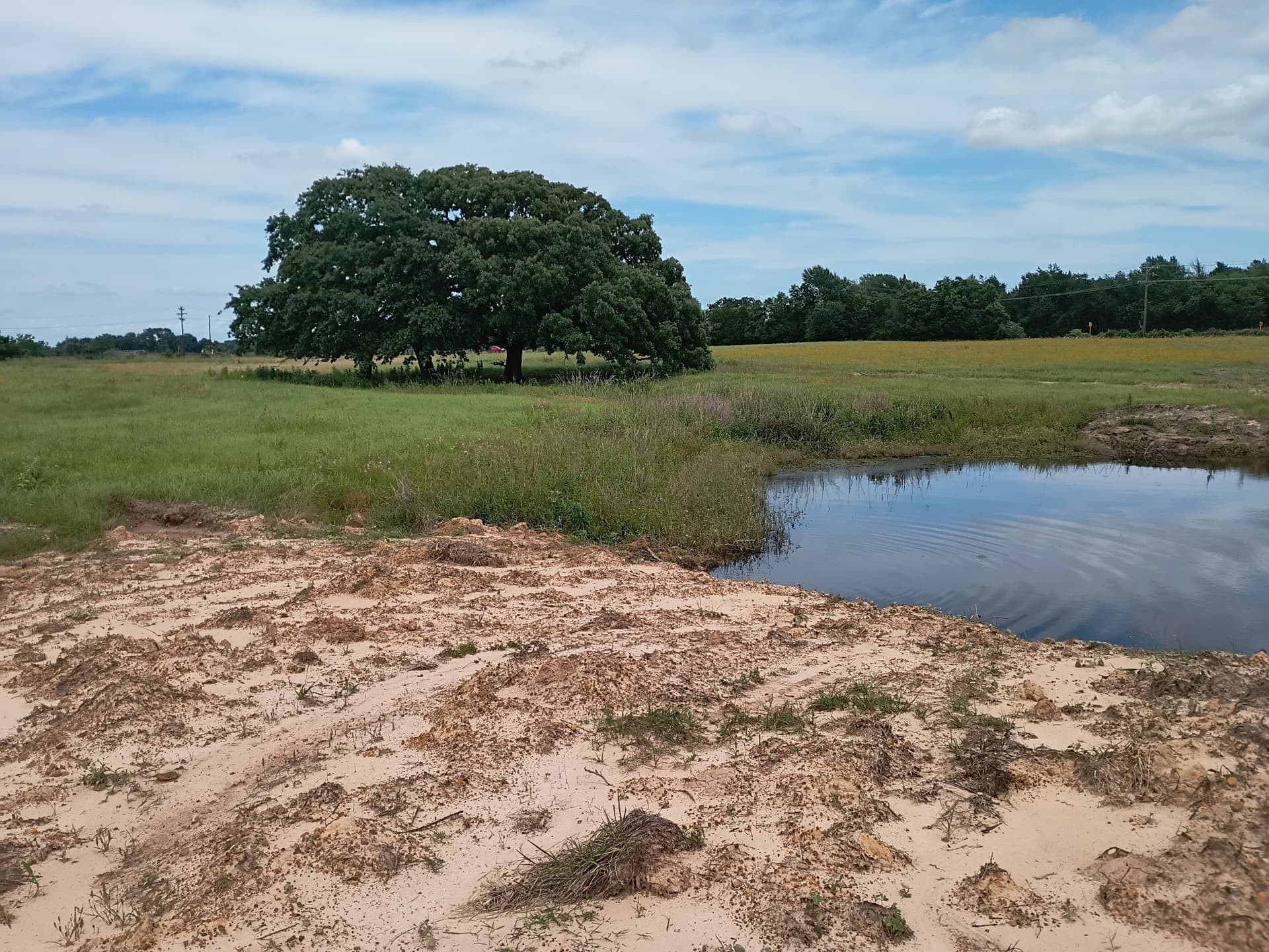 35 acres in Limestone County - photo 13