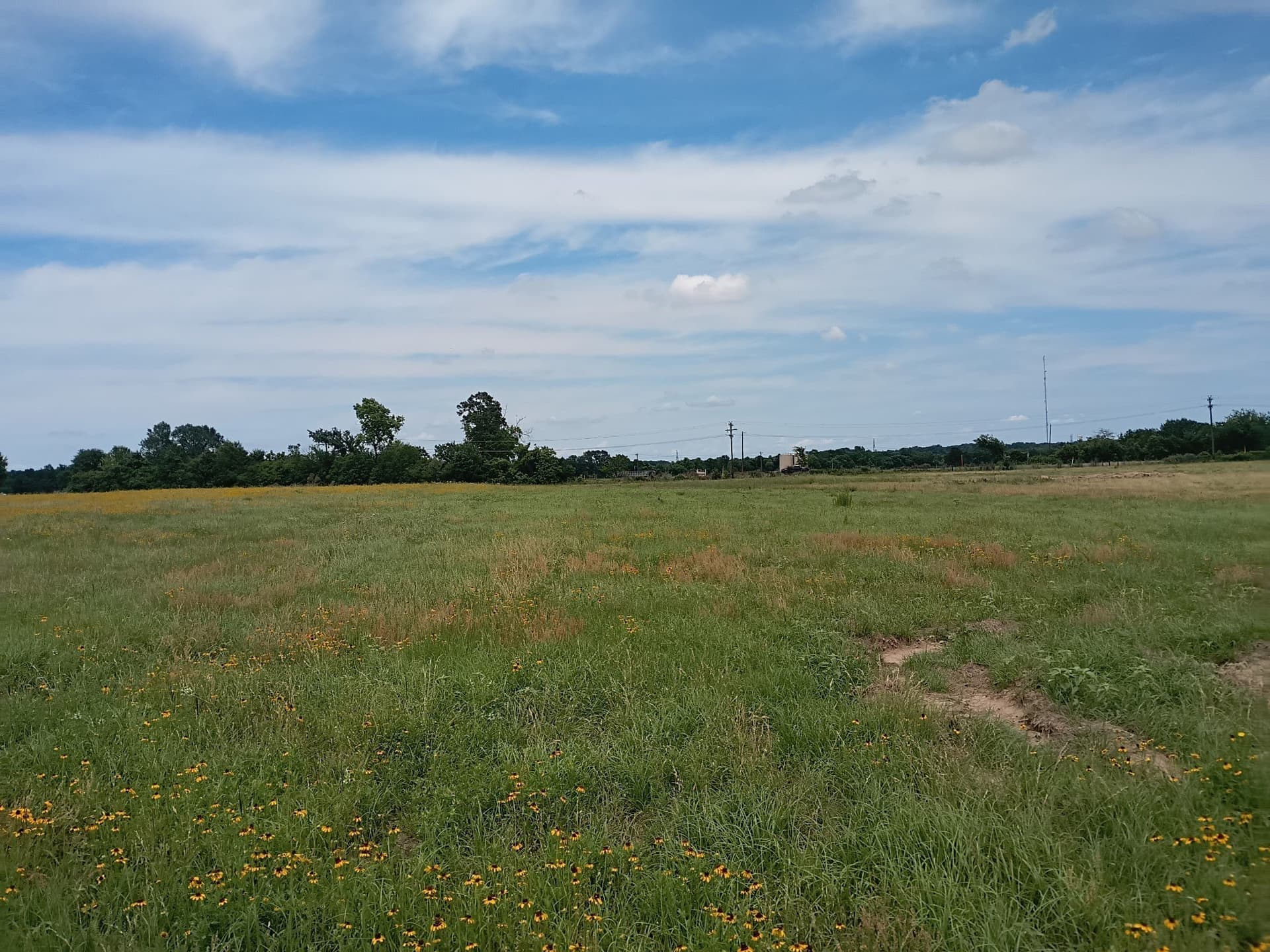 35 acres in Limestone County gallery image 3