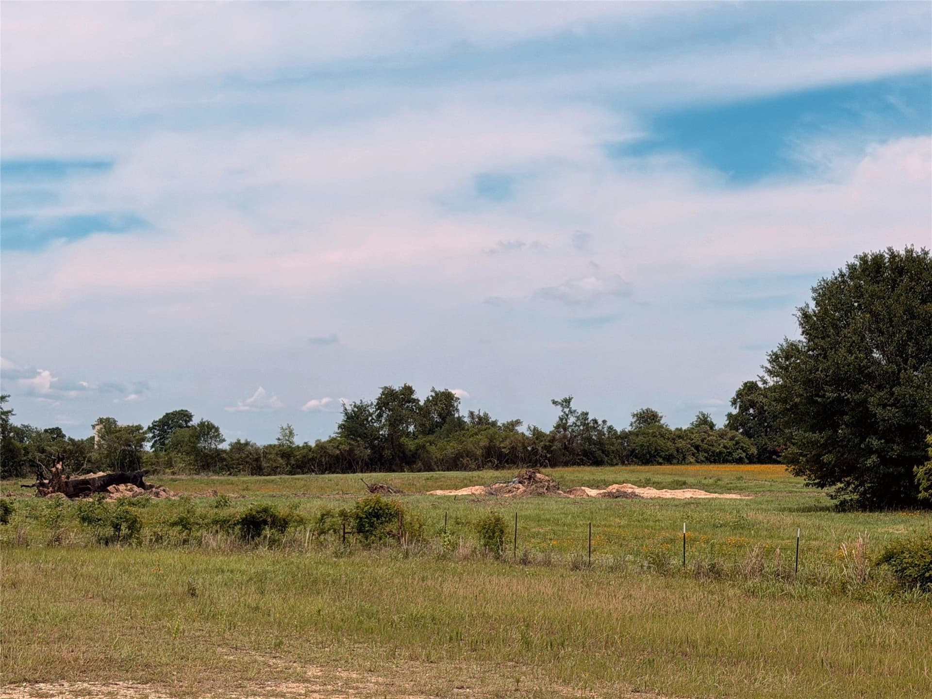 35 acres in Limestone County - photo 17