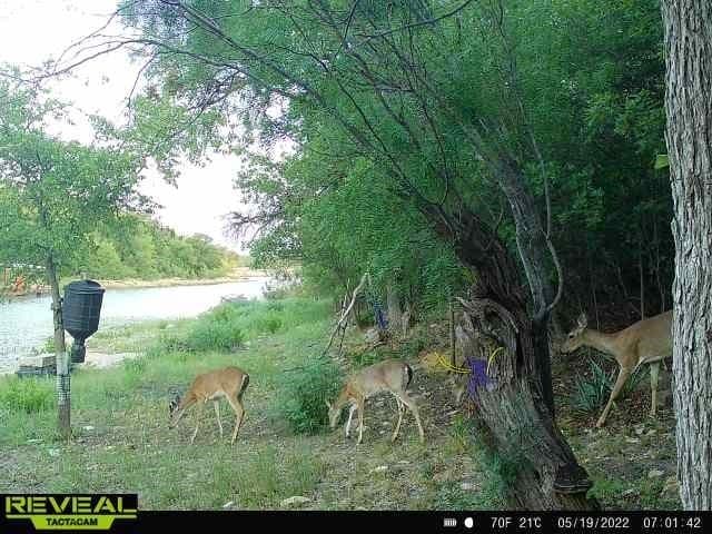 0.57 acres in Brown County - photo 19