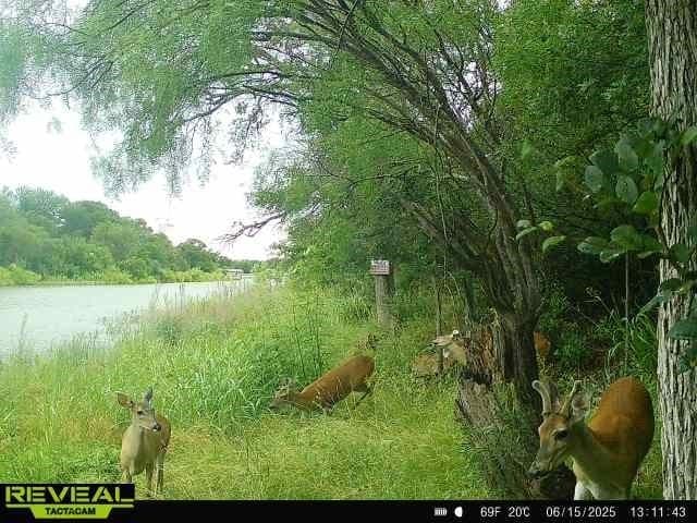0.57 acres in Brown County - photo 18