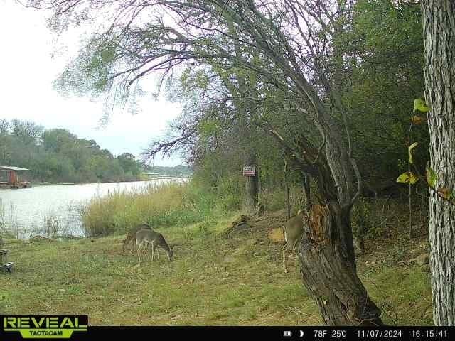 0.57 acres in Brown County - photo 21