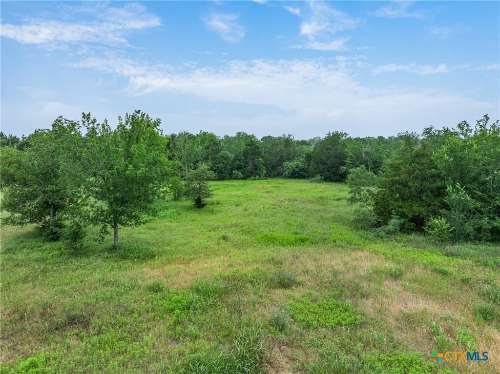 10.01 acres in Bastrop County - photo 15
