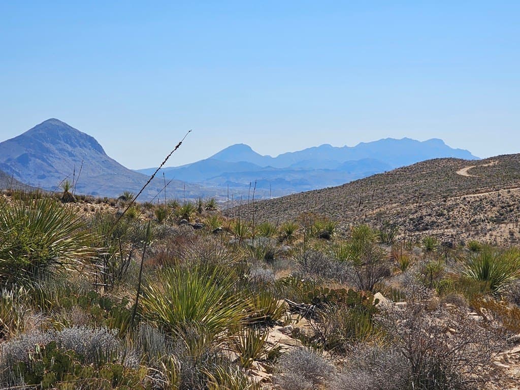 20 acres in Brewster County gallery image 2