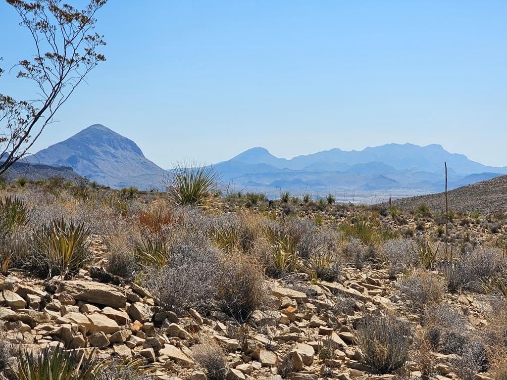 20 acres in Brewster County