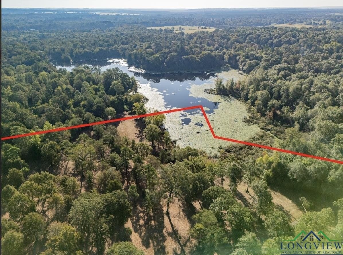 12.11 acres in Wood County gallery image 3