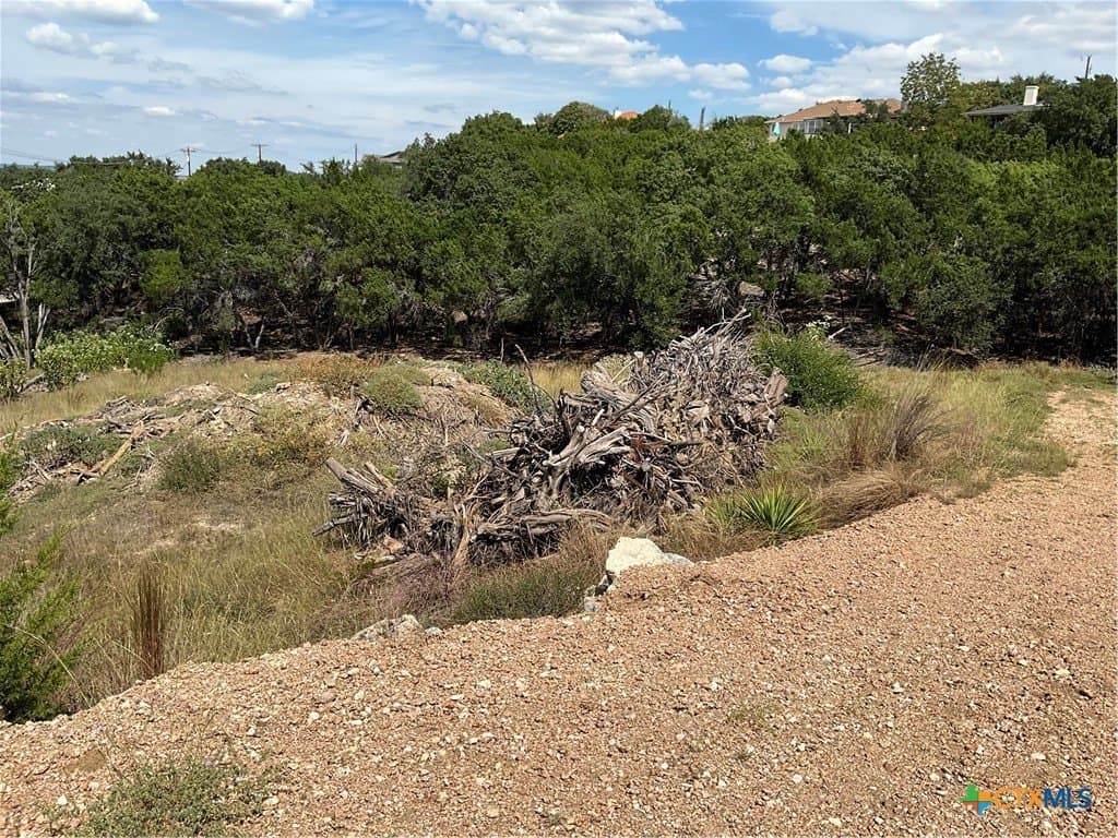 0.3 acres in Travis County gallery image 3