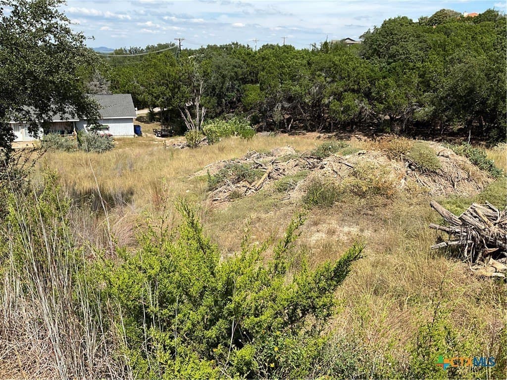 0.3 acres in Travis County gallery image 4