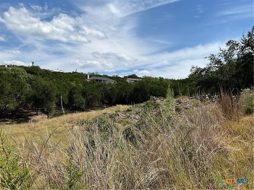 0.3 acres in Travis County featured view