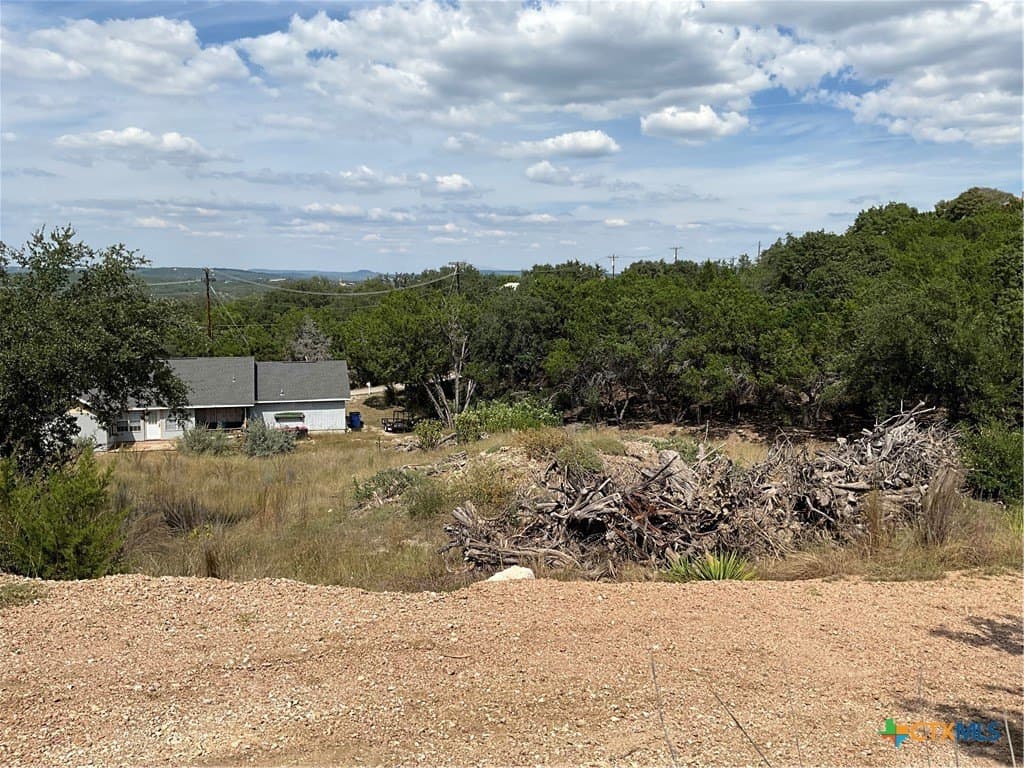 0.3 acres in Travis County gallery image 2