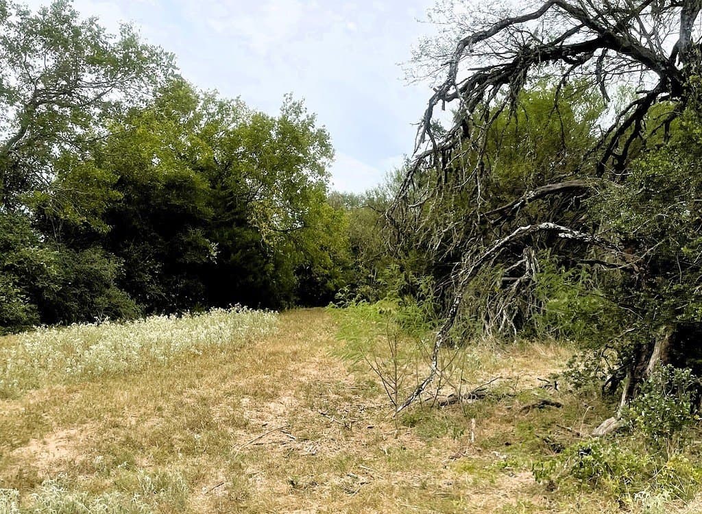 38.1 acres in Lavaca County - photo 24